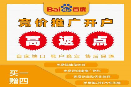 百度竞价排名案例揭秘：广告创意的重要性